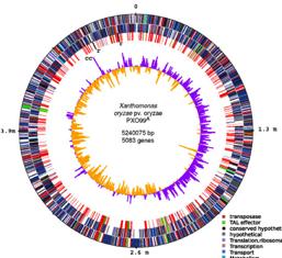 Summary Long read sequencing of eukaryotic genomes is here Technologies are quickly improving, exciting new