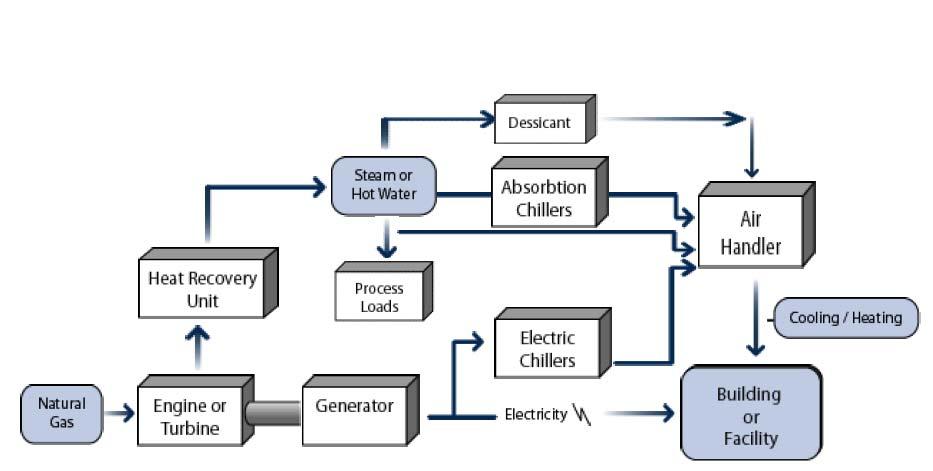 Typical small and medium scale trigeneration system functional layout Cogeneration