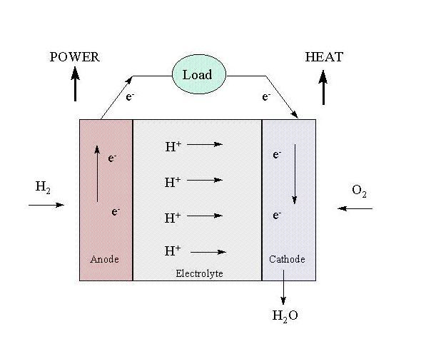 anode, a catalyst (usually platinum based) causes the hydrogen molecule to split into protons and electrons.