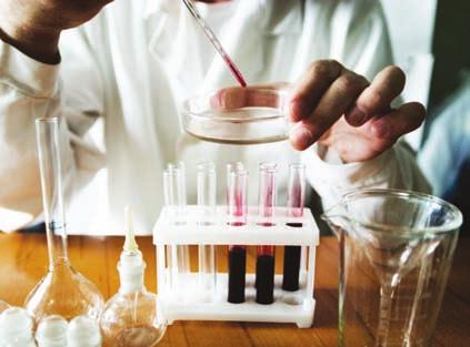 How Myeloma is Diagnosed Diagnostic or prognostic, lab tests for myeloma involve testing the blood, urine and bone.