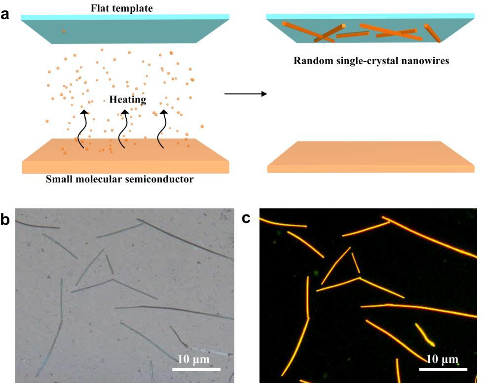 Supplementary Figure 5 Disordered BPEA wires grown upon a flat silicon substrate due to randomly positioning of nucleation and uncontrolled crystal growth.