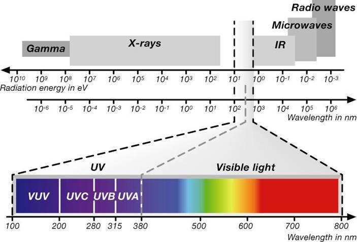 Electromagnetic spectrum For radiation, curing