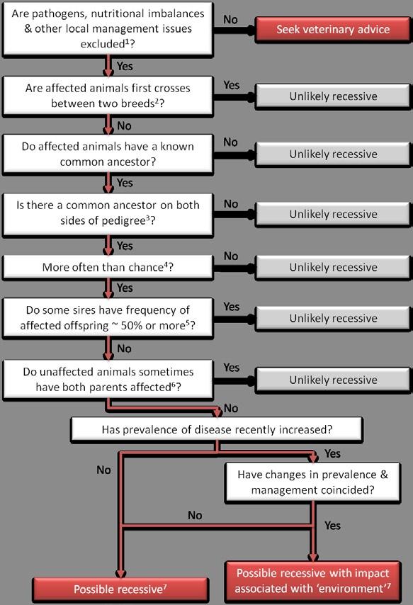 Step 3 Figure 3: Decision Tree An indicative decision tree for