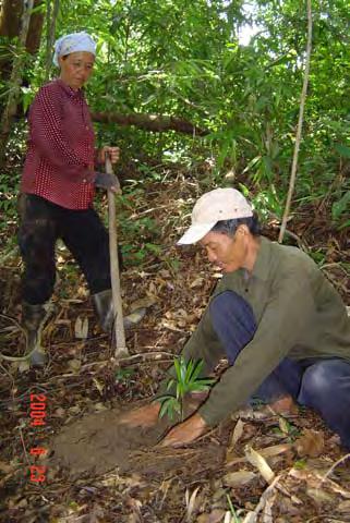 poverty reduction strategies benefit the forest-dependent rural poor; and implementing commitments on sustainable forest use and conservation.