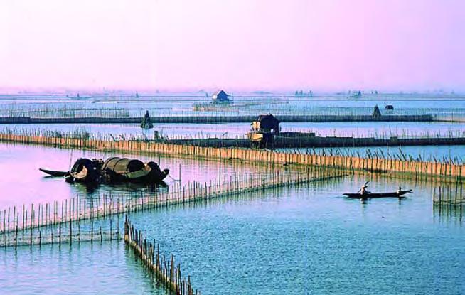 Water and Wetlands Success Story: Water and Wetlands Viet Nam s identity and future are closely linked to the health of its rivers, deltas, rice paddies, aquaculture ponds, estuaries, lakes, mangrove