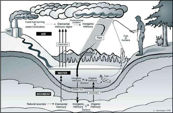 Threats: Water Cycle (Mercury Pollution) Photo: http://www.