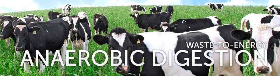 Overview 1. What is biogas & anaerobic digestion? 2. What waste products are normally treated in an anaerobic digester? 3.