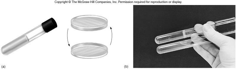 Solid media contain a high percent (1-5%) of agar, this enables