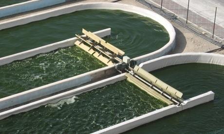2. Oils from aquatic biomass: microalgae cultivation technology Ponds vs