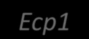 ISEcp1 C. freundii ampr bla CMY-2 blc suge ecnrba TGGGT GATTA GATAA ISEcp1 ISEcp1 ISEcp1 bla CMY-2 bla CMY-36 bla CMY-2 TGGGT GATTA GATAA pcvm29188_101 (IncI) (2.254 kb) ph205 (ColE1-like) (2.