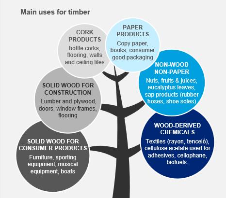 Demand for timber and timber assets The timberland and forest management