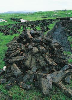 Figure 26-4 Peat is cut into blocks, dried in the Sun, and then burned in stoves and furnaces to provide heat for homes. When it burns, peat has an earthy smell that many people enjoy.