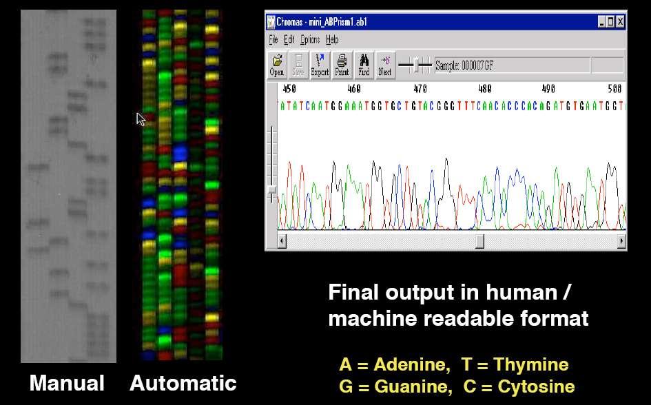 DNA sequencing http://www.bii.a-star.edu.