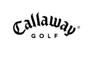 Destination Category - Golf 33 stores remodeled to Golf Days in 2004 (66 total at