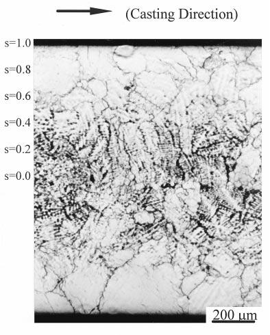 Vol. 40, No. 8 TEXTURE 883 Figure 2. Microstructure of as-cast strip, longitudinal section (3% Nital etching). solidification texture [7].