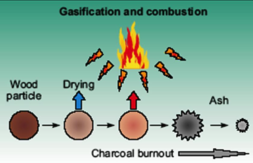 4. Combustion of biomass 4.1 Introduction The recent years have brought about some climate changes, which may be caused by the constant growth of the amount of carbon dioxide in the air.