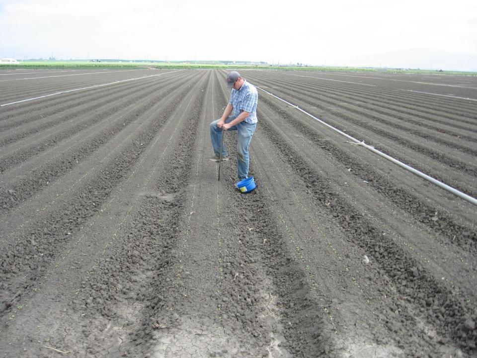 In-season soil NO 3 -N testing is the most effective tool to prevent unnecessary fertilization