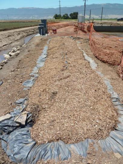 Wood chip bioreactors : 3 pilot-scale wood chip reactors are running in the Salinas Valley, treating tile drain effluent and surface runoff In coastal