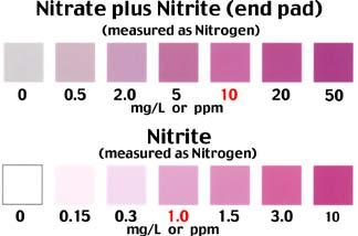 #135 Nitrate and Nitrite in Water Colorimetric test strips.