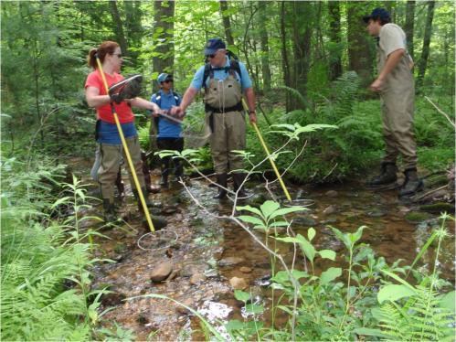Q: What measures are taken by the industry to ensure that too much water is not being removed from the stream, thus impacting aquatic species?