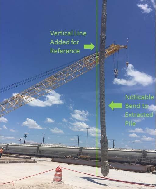 As shown in Fig. 8 Pile 29 had a noticeable bend. This pile is hanging from the tip of a crane boom in the figure below.