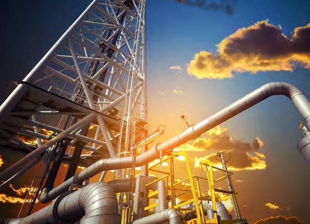 TOTAL PETROCHEMICALS Simplify compliance to environmental, health and safety regulations and ISO protocols Overcome limitations to management system auditing and risk assessments Monitor the level of