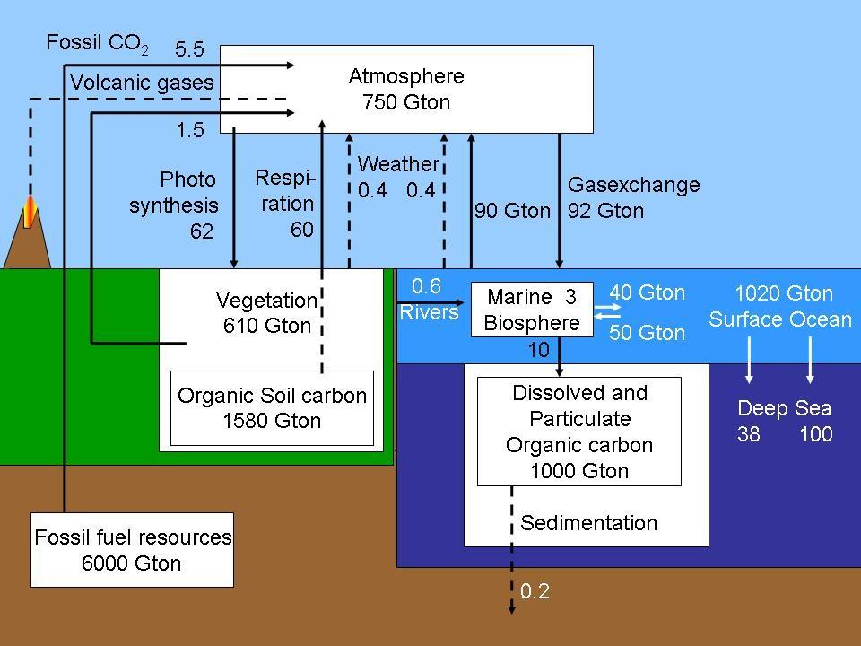 Environmental Science 2 lithosphere from the oceans. Man uses the oil and coal for energy production resulting in fossil fuel burning making the carbon dioxide enter to the atmosphere.