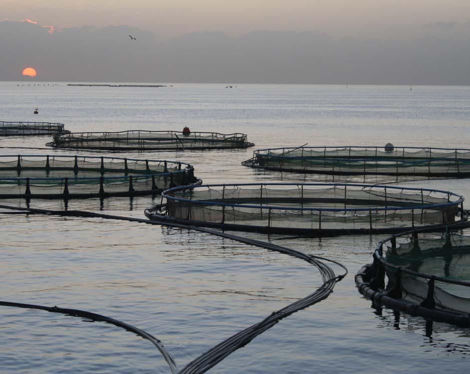 1. INTRODUCTION Aquaculture cages (Kimagro, Cyprus), photo FAO/Fabio Massa. 1.