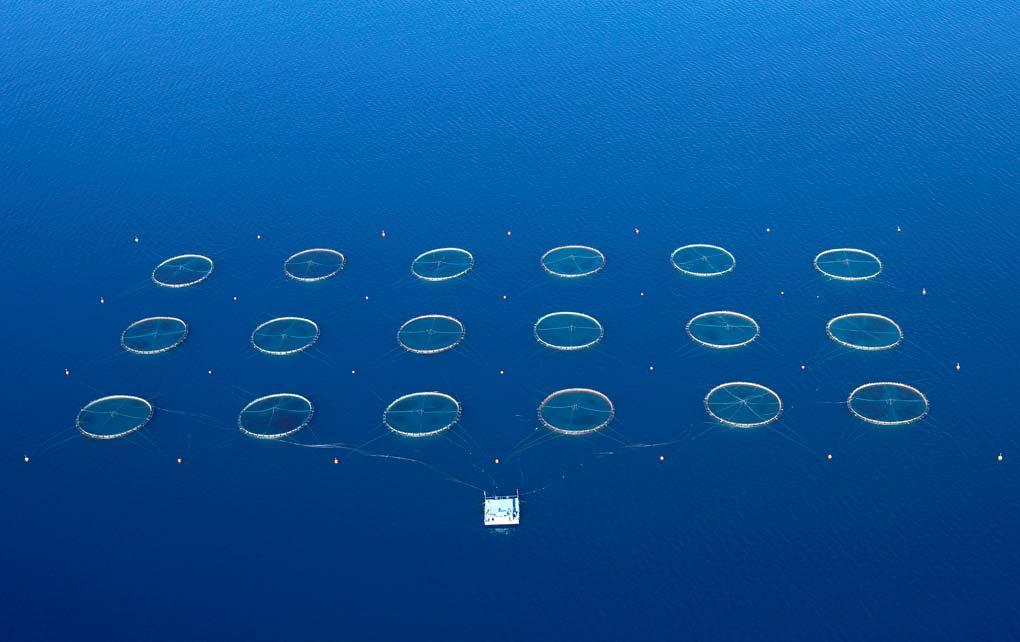 3. WHAT IS SUSTAINABILITY? Aquaculture cages (Turkey), photo Hayri Deniz. Many issues could arise from this simple question.