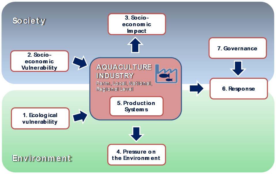 However, as far as sustainability analysis is concerned, it would also be useful to classify indicators according to their position and contribution to the aquaculture sustainability approach.