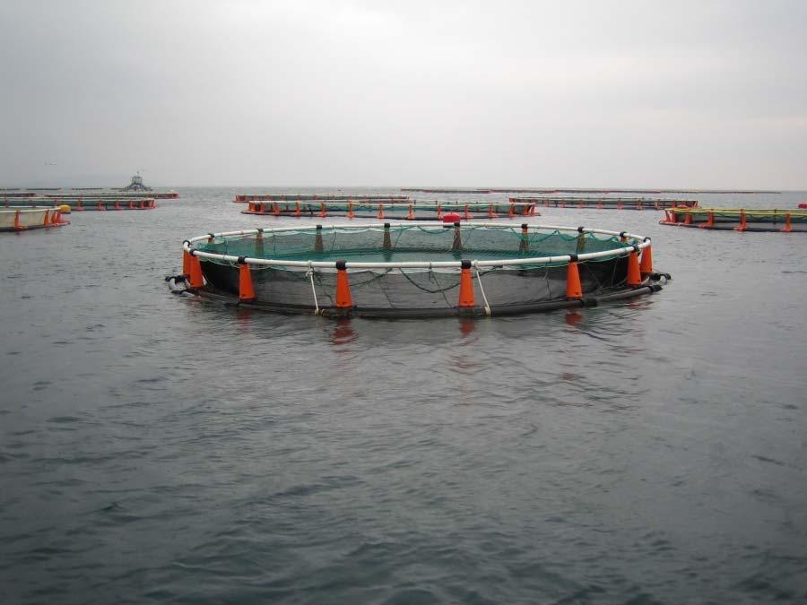 6. OTHER USES OF INDICATORS Floating cages in the Gaeta Gulf (Italy), photo FAO Aquaculture photo library/valerio Crespi.