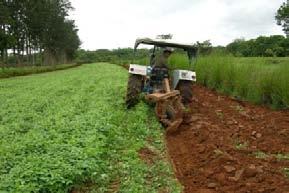 Technology: On-farm Generation of Organic Matter for Soil Health and Reduced Input Cost and Higher Productivity TNadu N.