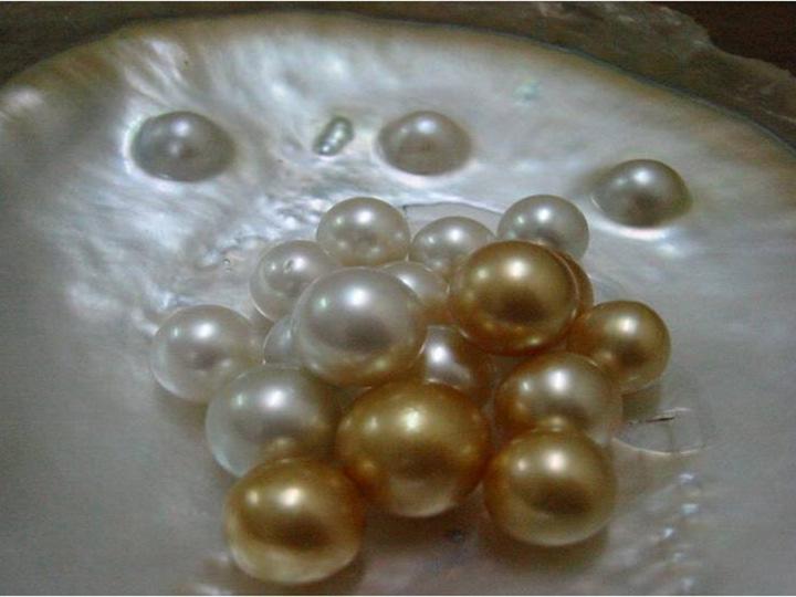Myanmar Pearl Enterprise Responsible for - prodiction a large quantity of