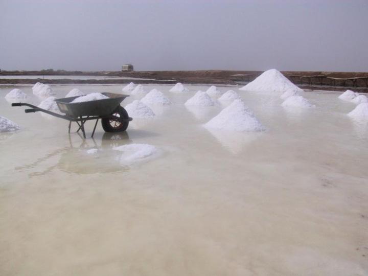 Myanmar Salt & Marine Chemical Enterprise Responsible for supervision and allowing permit for Solar Salt