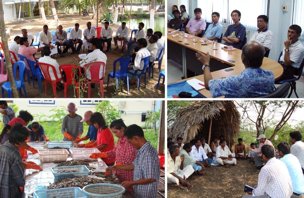Aquaculture farmer organizations and cluster management Concepts and