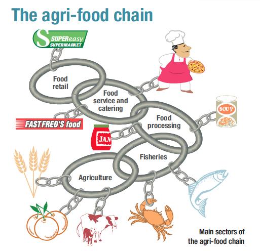 THE AGRI-FOOD CHAIN The agri-food chain relies on each sector so no sector is independent.