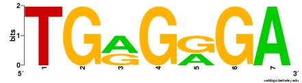 TGAGGGA TGGGGGA TGAGAGA TGGGGGA : : 100 Entropy Define frequencies for the occurrence of each letter