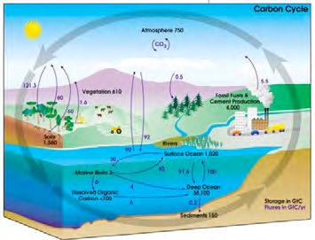 Where are we? Carbon Cycle 1. What are systems? 2. What are biogeochemical cycles? 3.