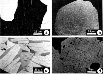 Paleomagnetism: Chapter 2 26 Figure 2.11 Micrographs of FeTi-oxide minerals.