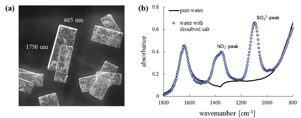 crystallization of the hydrated double salt, Na 3 SO 4 NO 3 H 2 O, is observed. We confirmed the identity of this salt by microscopic images and ex situ analysis.