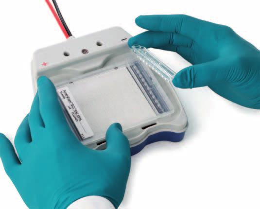 Easy sample application and gel handling The Amersham ECL Gel system is designed to make PAGE as easy as agarose gel DNA electrophoresis (Fig 2).