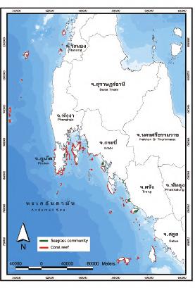 map:b Assessing the Conditions of Coral Reefs and Seagrass Communities in the Gulf of Thailand and the Andaman Sea (Oct. 2010~Sep.
