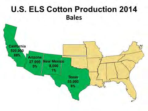 The West produced 765 thousand bales of upland cotton in 2014, down 108 thousand bales from the region s 2013 crop. The region accounted for 5% of U.S. production.