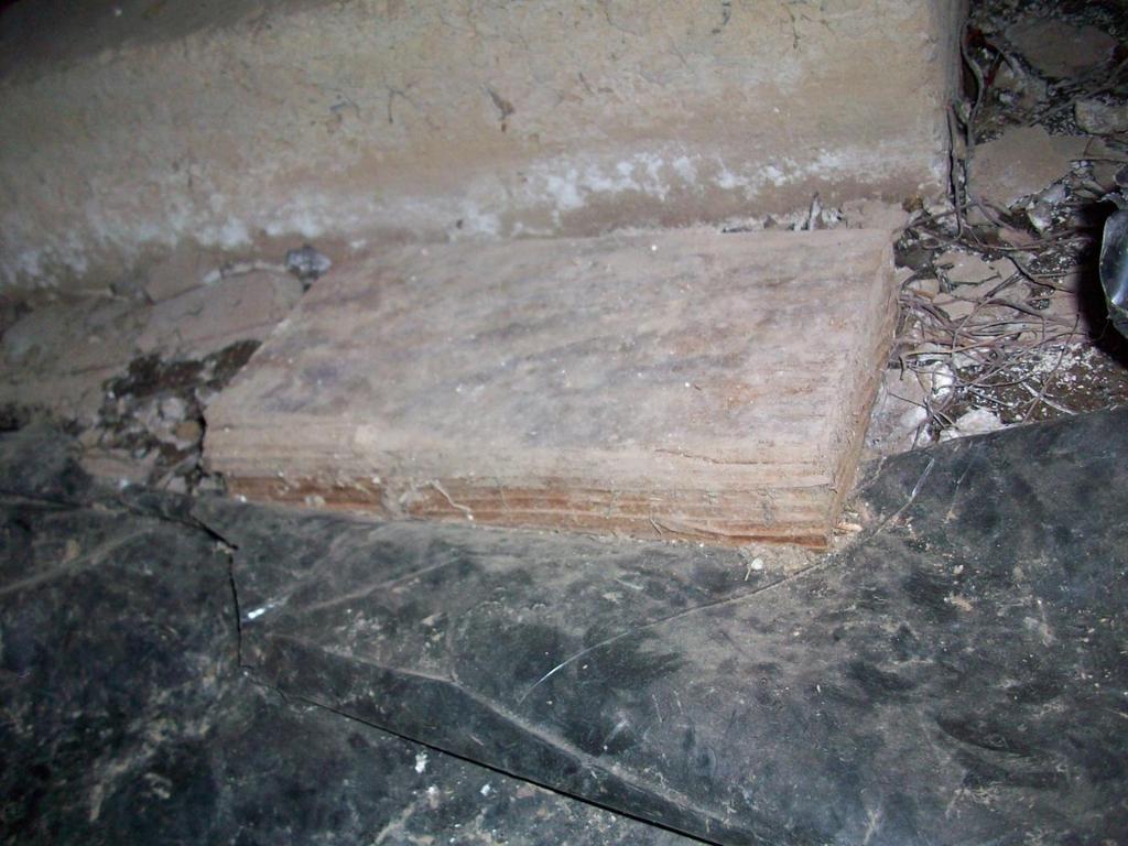 5. There is cellulose debris in the crawl space. All cellulose debris should be removed to deture the infestation of WDO s in the crawl space.