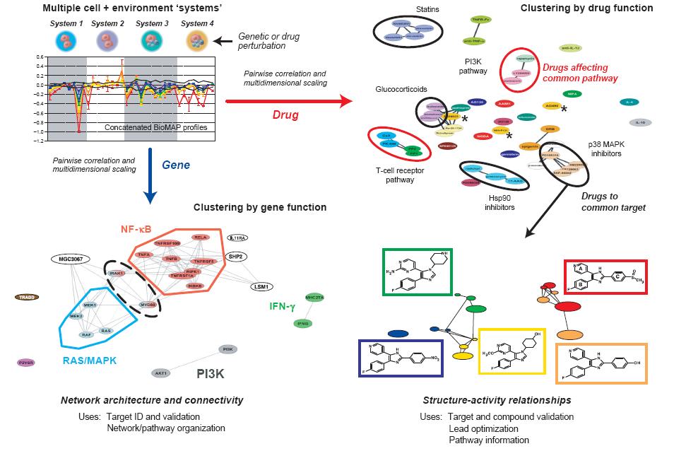 Pharma s Approach to the use of In Vitro Discovery to Develop new Therapies in Humans Cellular Systems for Predictions Butcher et al. Nature Biotech.