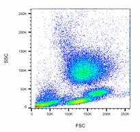 Data Analysis 3 1 Data Analysis Gates and Regions Flow cytometry data analysis is fundamentally based upon the principle of gating.