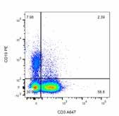 In Figure 16, the lymphocytes determined by forward and side scatter (Figure 16A) are stained with CD3 and CD19 to identify the T and B cell populations.