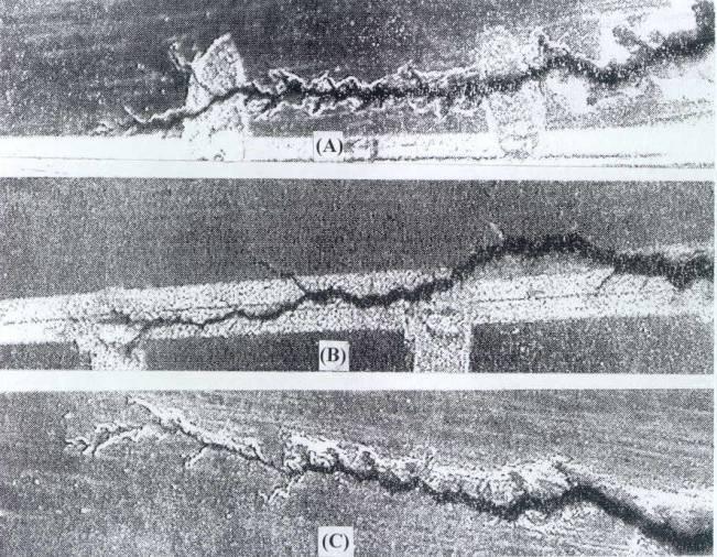 5214 Park et al. Asian J. Chem. Fig. 12. Optical micrographs of the crack growth pattern under repeated strain condition with various the curing systems.