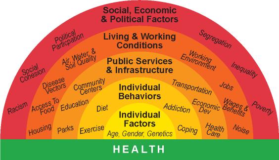 Factors Responsible for Population Health Health status is determined by: Genetics: 20 30%