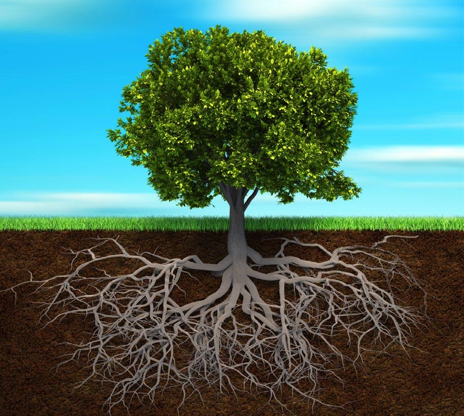 How I Define Passive vs. Active Income Once you plant the roots, things begin to grow.